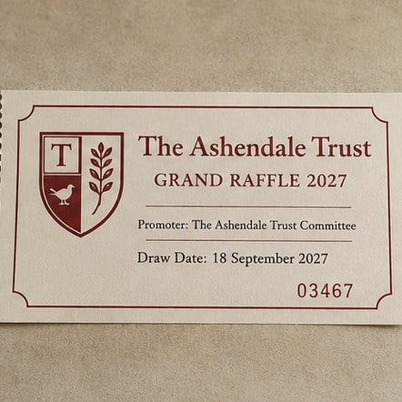 Printed Event Raffle Tickets with custom branding